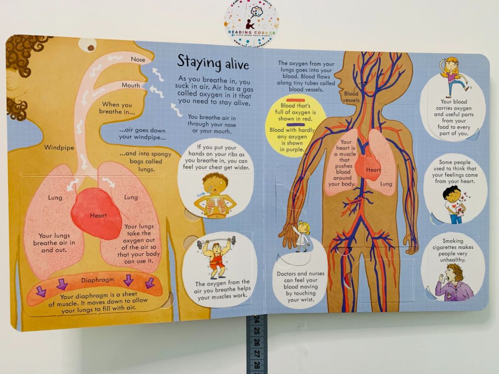 Usborne Look Inside Your Body Readingcorner Ro