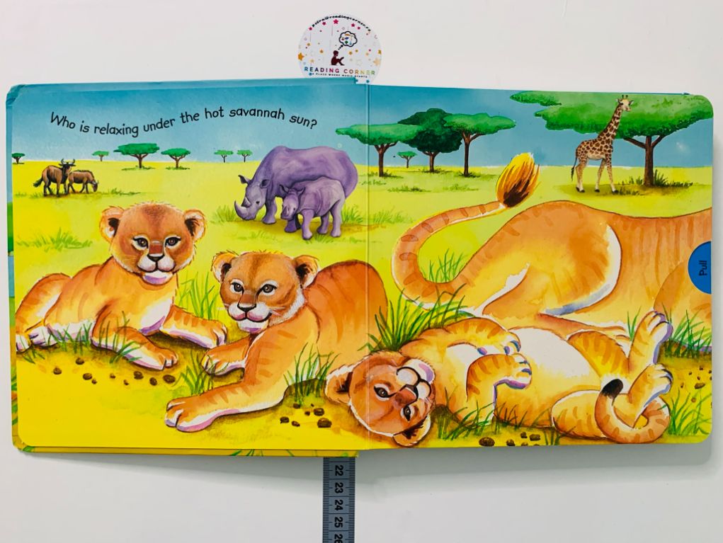 safari wonders book